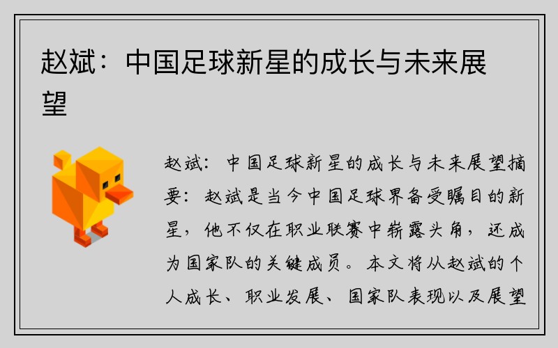 赵斌：中国足球新星的成长与未来展望